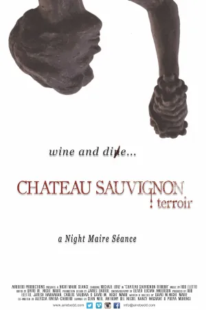 CHATEAU SAUVIGNON TERROIR